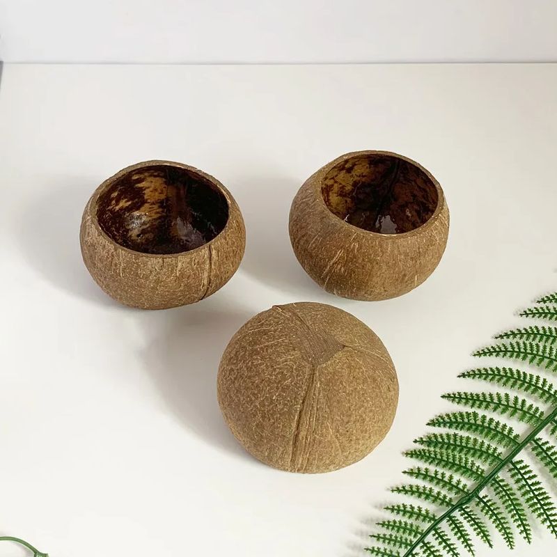 Coconut Candle Bowl Party Deco - Candle Making Homewood avaliação e preço