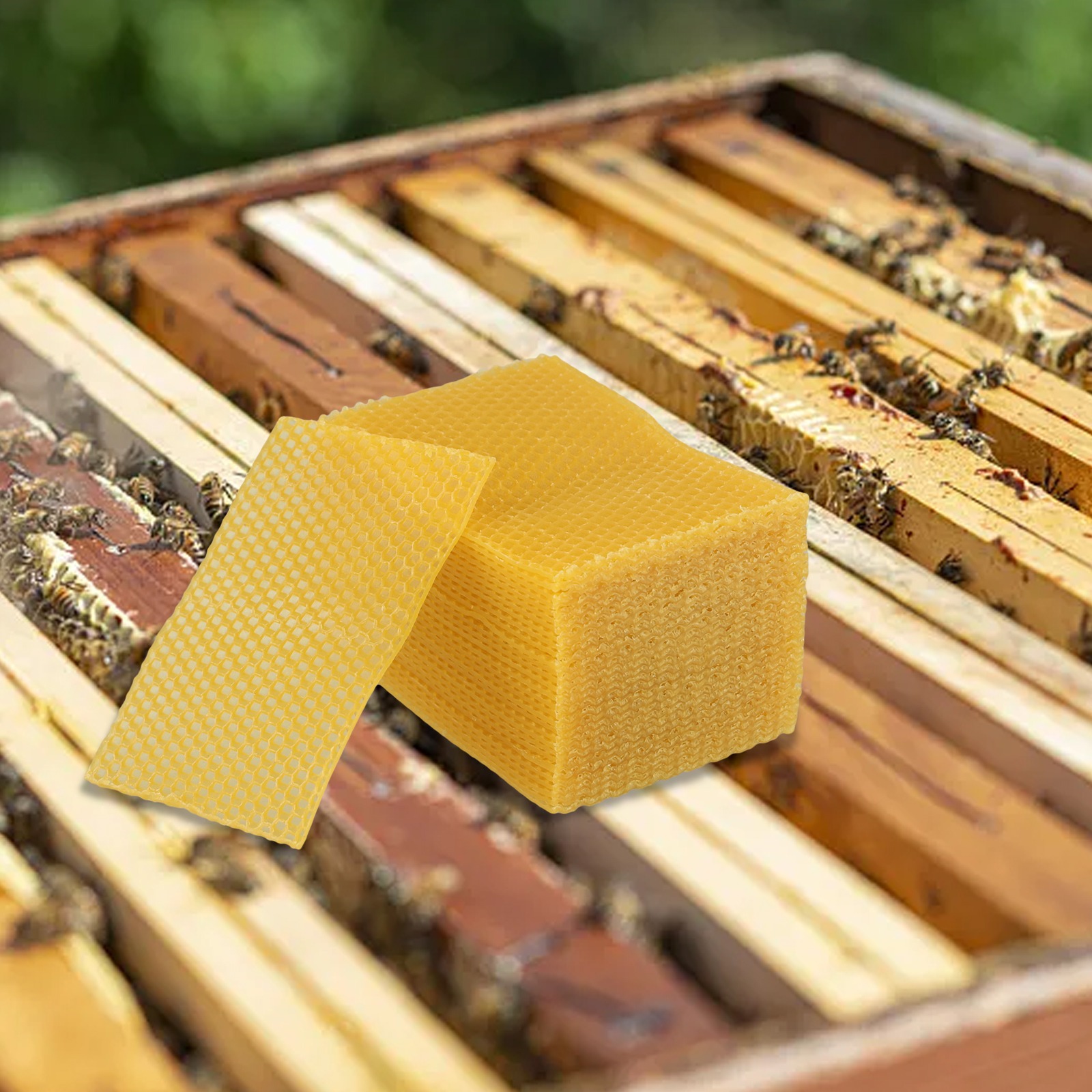 5.24 X 3.54 Beehive Foundation - Candle Making Kit Beeswax avaliação e preço