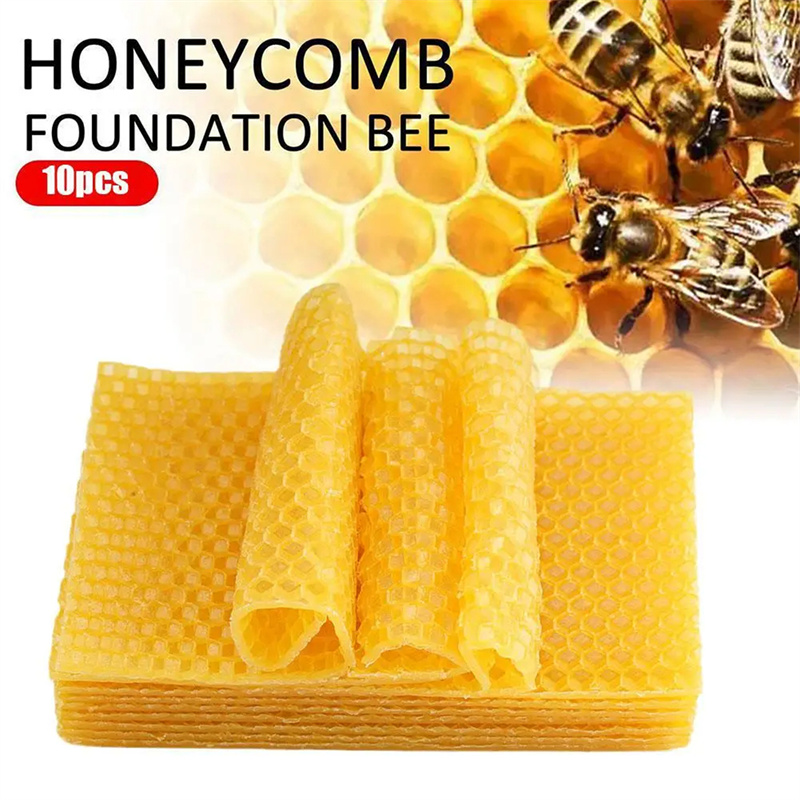 10Pcs Beekeeping Tools Beeswax - Candle Making Kit Beeswax avaliação e preço