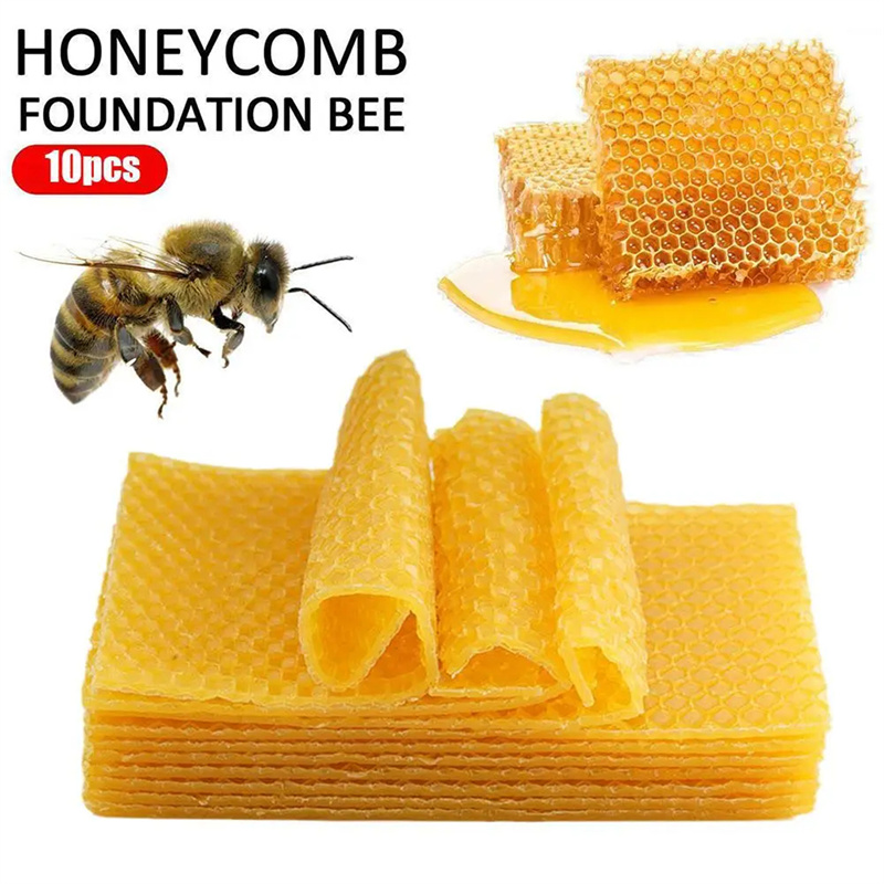 10Pcs Beekeeping Tools Beeswax - Candle Making Kit Beeswax avaliação e preço