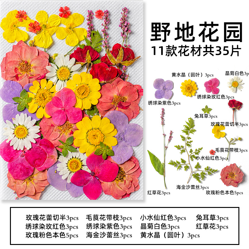 35Pcs10 Set of Dried Flowers a - Candle Making Set avaliação e preço