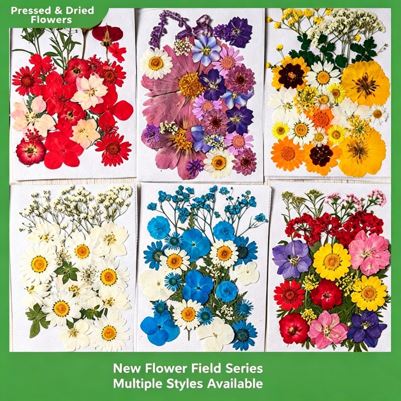 35Pcs10 Set of Dried Flowers a - Candle Making Set avaliação e preço