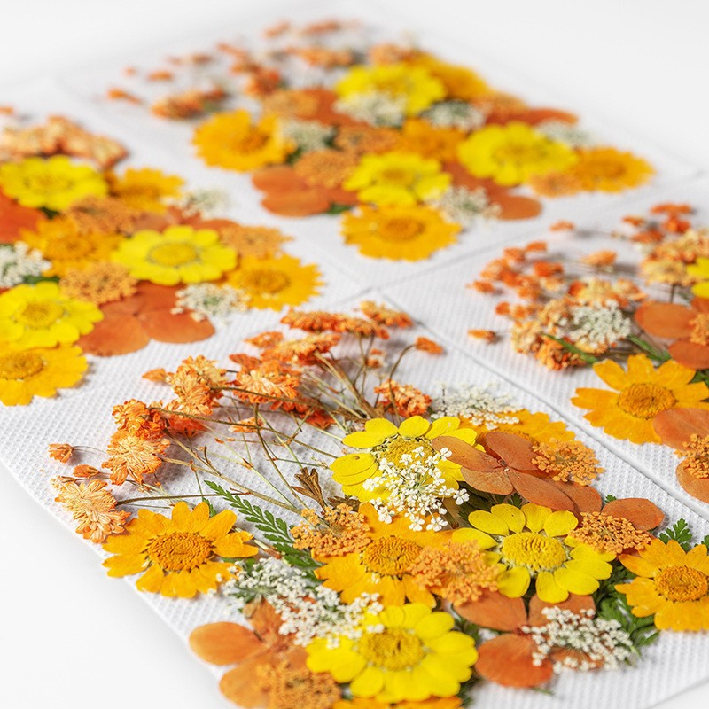 35Pcs10 Set of Dried Flowers a - Candle Making Set avaliação e preço